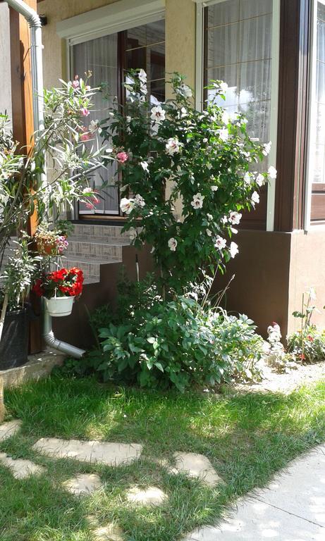 Holiday Apartmanhaz Залакарош Екстер'єр фото